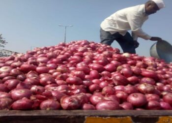 नवीन कांदा