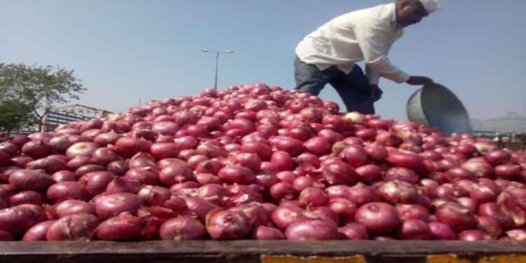 नवीन कांदा