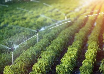 पंतप्रधान कृषी सिंचन योजना