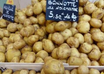 जगातील सर्वात महाग बटाटा