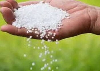 रब्बी हंगाम