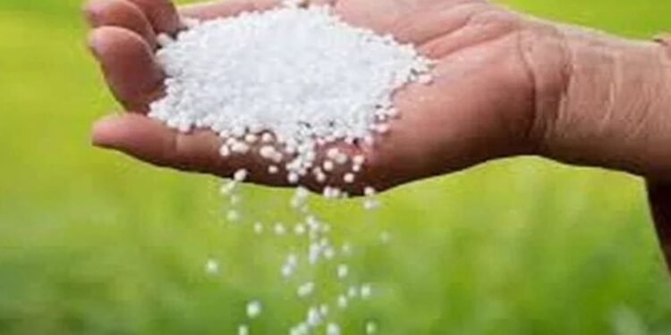 रब्बी हंगाम