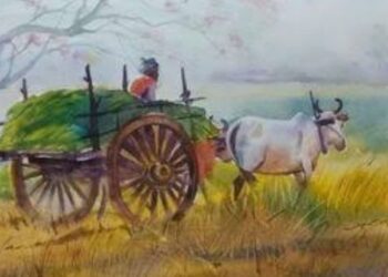 शेजारच्या शेतजमिनीतून बैलगाडीला मार्गासाठी सरसकट परवानगी; शेताकडील वहीवाटीचा रस्ता अडवल्याने त्रस्त लाखो शेतकऱ्यांना दिलासा