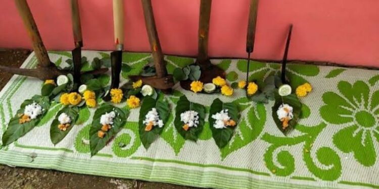 कृषी संस्कृतीचा दसरा सण; लहानपणीचा ज्वारीच्या कणसाचा बुडुक-बुडुक खेळ आठवतोय का?