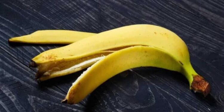 केळीच्या सालाची चटणी