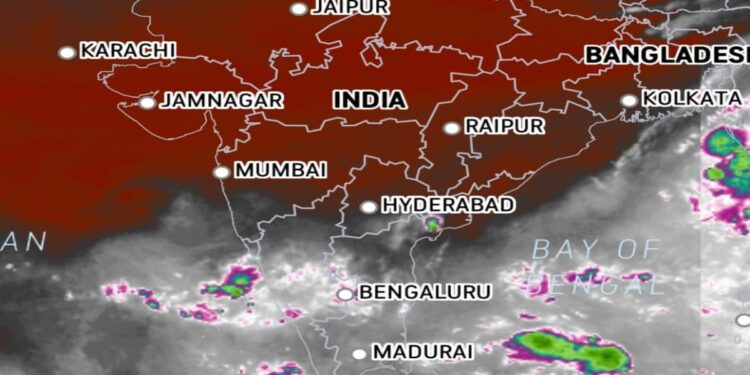 राज्यातील काही जिल्ह्यात हलक्या ते मध्यम सरींची शक्यता; नोव्हेंबर-डिसेंबरही पावसाचा!