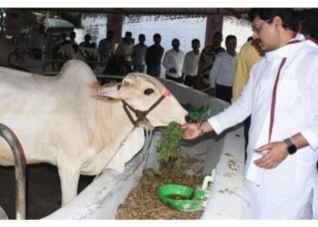 देशातील पहिले काऊ टुरिझम