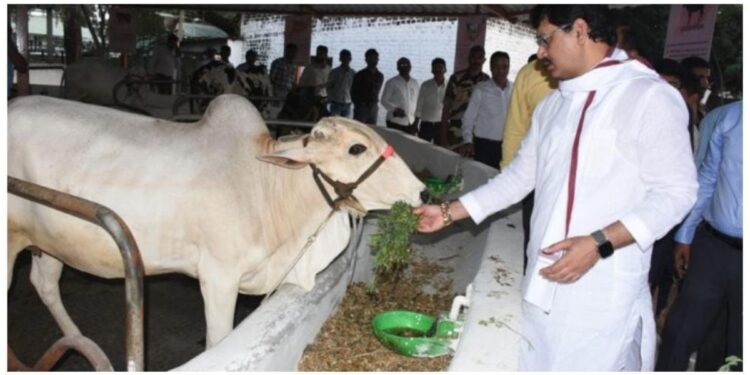 देशातील पहिले काऊ टुरिझम