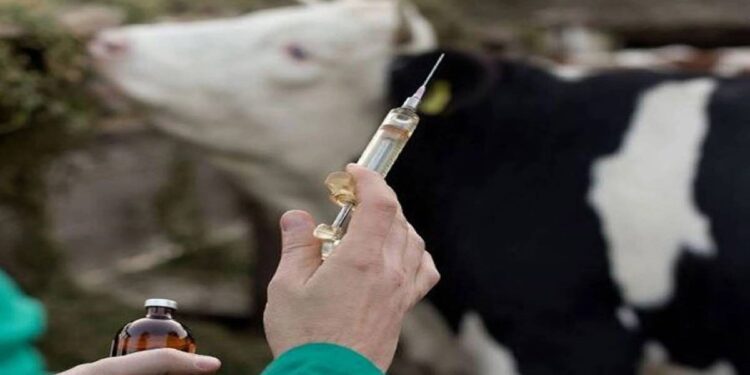 अहमदनगर जिल्ह्यात नवीन पशुवैद्यकीय महाविद्यालय सुरु