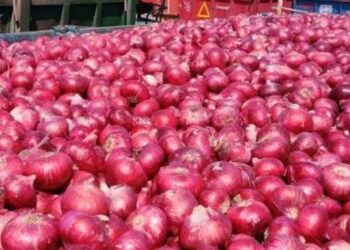 कांद्याला या बाजार समितीत मिळतोय असा दर