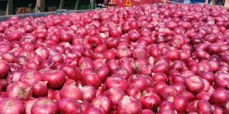 कांद्याला या बाजार समितीत मिळतोय असा दर