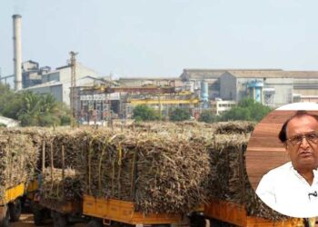 साखर कारखानदार