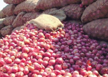 कांद्यावरील निर्यात शुल्क रद्दनंतर दरावर झाला हा परिणाम