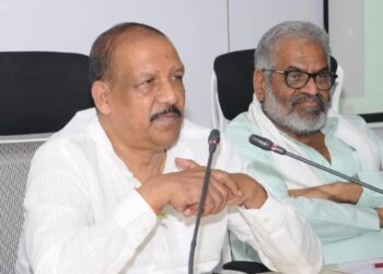 मानवनिर्मित बांबूचे जंगल