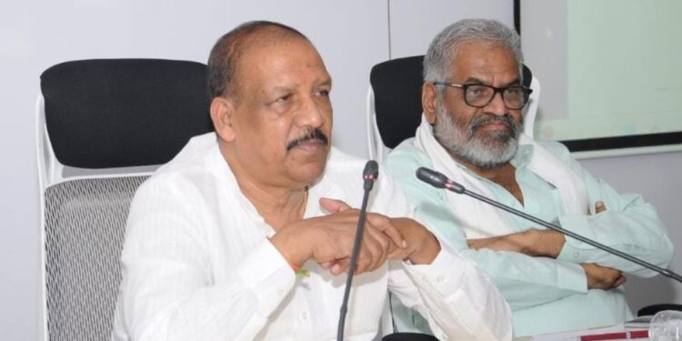 मानवनिर्मित बांबूचे जंगल