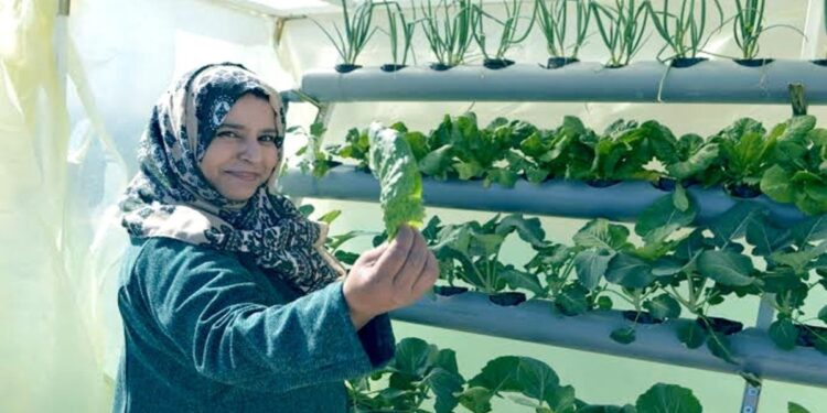 नैसर्गिक नदी नसलेल्या जगातील 2 सर्वात कोरड्या देशातील शेतीची कथा