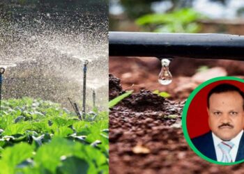 तुषार सिंचन