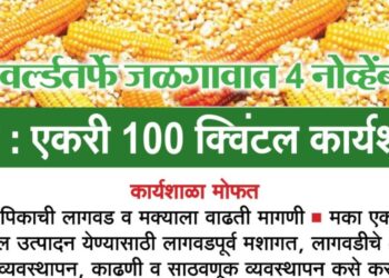 अ‍ॅग्रोवर्ल्डतर्फे जळगावात 4 नोव्हेंबरला मका : एकरी 100 क्विंटल कार्यशाळा