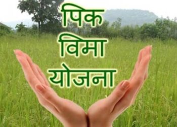 राज्यातील शेतकऱ्यांसाठी गोड बातमी; १७०० कोटी रुपये पीकविमा अग्रिम वितरण करण्यास मंजुरी