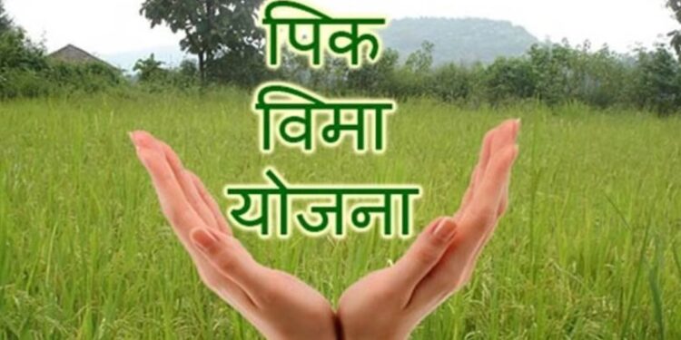 राज्यातील शेतकऱ्यांसाठी गोड बातमी; १७०० कोटी रुपये पीकविमा अग्रिम वितरण करण्यास मंजुरी