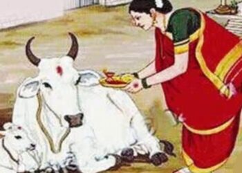 शेतकऱ्यांचा सण वसुबारस अन् हातमोडे कणीस