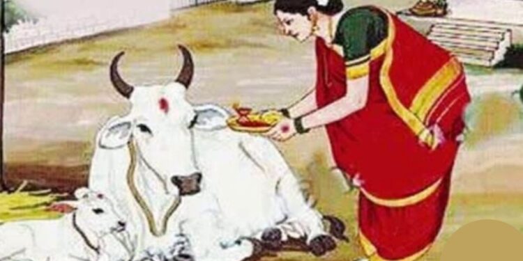 शेतकऱ्यांचा सण वसुबारस अन् हातमोडे कणीस