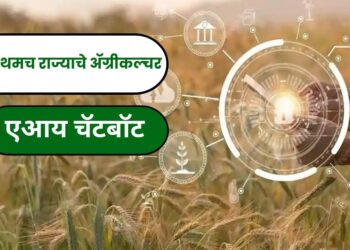 ॲग्रीकल्चर एआय चॅटबॉट