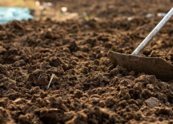 सेंद्रिय खत (Organic Manure): शाश्वत शेतीसाठी वरदान