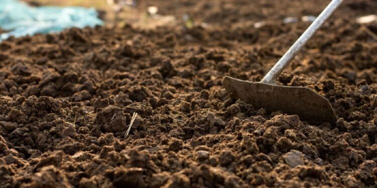 सेंद्रिय खत (Organic Manure): शाश्वत शेतीसाठी वरदान