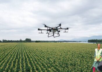 महिला बचत गट