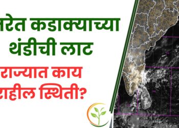 उत्तरेत कडाक्याच्या थंडीची लाट