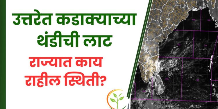 उत्तरेत कडाक्याच्या थंडीची लाट