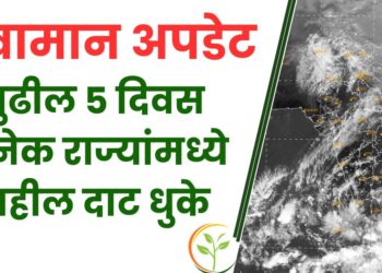 पुढील 5 दिवस अनेक राज्यांमध्ये राहील दाट धुके