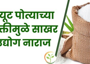 साखर उद्योग