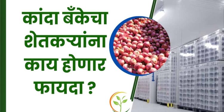 कांदा बँक