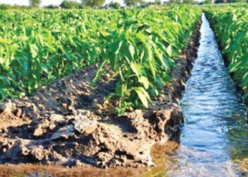 पाणी व्यवस्थापन