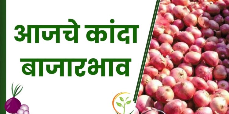 कांद्याला असा मिळतोय भाव