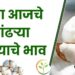 पांढऱ्या सोन्याला असा मिळतोय भाव