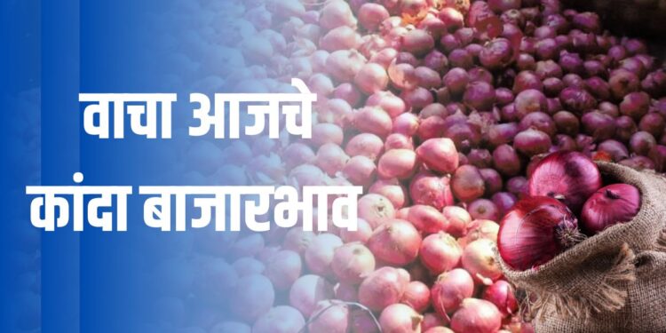 कांदा