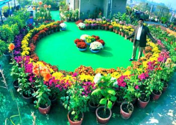 9,000 चौरस फुटाच्या नर्सरीतून महिन्याला 2 लाखांची कमाई