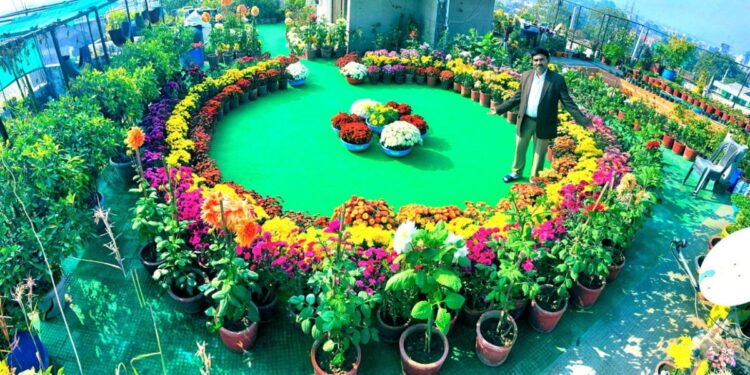 9,000 चौरस फुटाच्या नर्सरीतून महिन्याला 2 लाखांची कमाई