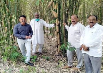 शाश्वत पर्यावरण विकास परिषद