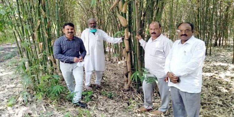 शाश्वत पर्यावरण विकास परिषद