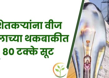 उत्तर प्रदेशातील शेतकऱ्यांना वीज बिलाच्या थकबाकीत 80 टक्के सूट, सिंचनासाठी 10 तास वीज उपलब्ध