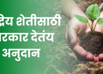 सेंद्रिय शेती