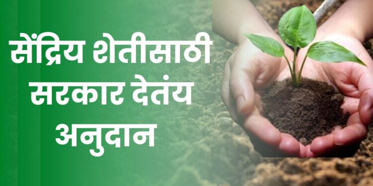 सेंद्रिय शेती