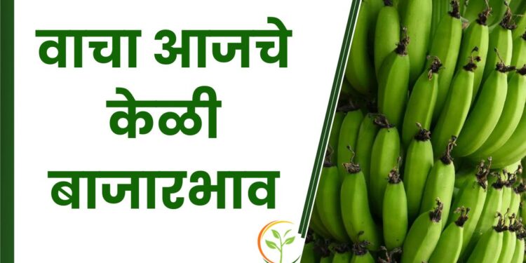 केळी