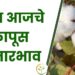 सध्या कापसाला असा मिळतोय दर