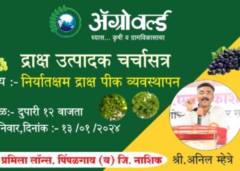 निर्यातक्षम द्राक्ष उत्पादन तंत्र अन् मंत्र द्राक्षगुरू अनिल म्हेत्रे यांच्याकडून मोफत शिकून घ्यायचेय का? तर मग पिंपळगाव बसवंत येथे सुरू असलेल्या ॲग्रोवर्ल्ड कृषी प्रदर्शनात