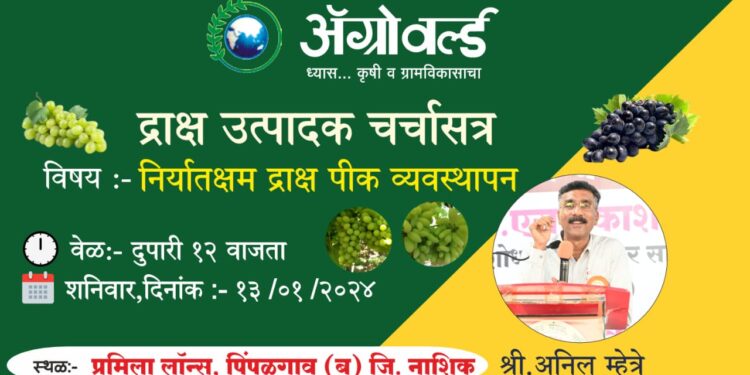निर्यातक्षम द्राक्ष उत्पादन तंत्र अन् मंत्र द्राक्षगुरू अनिल म्हेत्रे यांच्याकडून मोफत शिकून घ्यायचेय का? तर मग पिंपळगाव बसवंत येथे सुरू असलेल्या ॲग्रोवर्ल्ड कृषी प्रदर्शनात